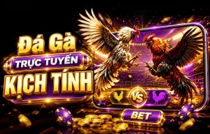Sảnh Đá Gà kbssde